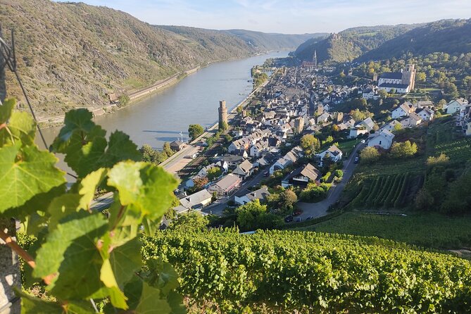 Private Day Trip to the Romantic Rhine Valley With River Cruise and Wine Tasting - Comfort and Convenience of Travel