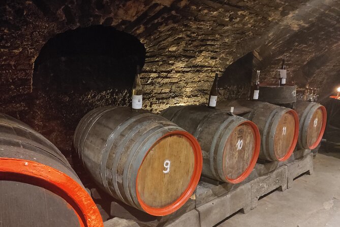 Private Day Trip to the Romantic Rhine Valley With River Cruise and Wine Tasting - Traveler Reviews and Ratings