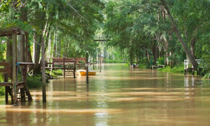 Private Day Trip to Tigre Delta From Buenos Aires - Important Information