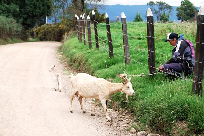 Private Day Trip to Traditional Towns Around Bogotá (9 Hrs.) - Itinerary and Highlights