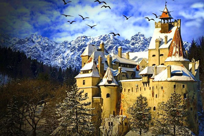 Private Day Trip to Transylvania: Dracula, Sinaia & Brasov (from Bucharest) - Peles Castle Exploration