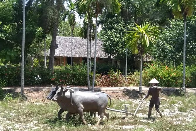 Private Day Trip to Visit MY LAI MASSACRE From Hoi an or Da Nang City - Knowledgeable Guides and Testimonials