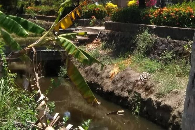 Private Day Trip to Visit MY LAI MASSACRE From Hoi an or Da Nang City - Cancellation Policy and Flexibility