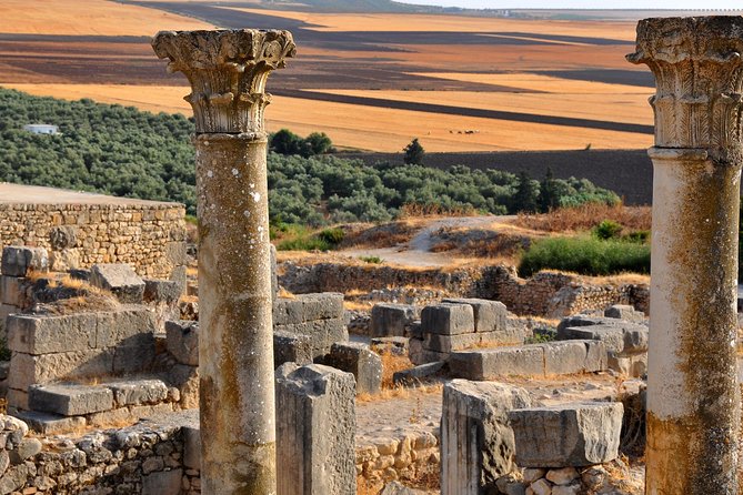 Private Day Trip to Volubilis Meknes and Moulay Driss From Fez - Visit Moulay Driss Zerhoun