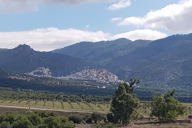 Private Day Trip to Volubilis, Moulay Idriss, and Meknes From Fez (Fes) - Tour Overview