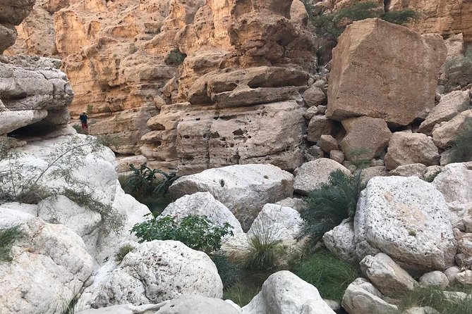Private Day Trip to Wadi Shab & Bimmah Sinkhole Price Up To 5 Persons - Fish Market Visit