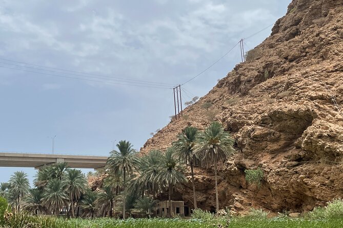 Private Day Trip to Wadi Shab, Fins Beach & Bimmah Sinkhole - Fins Beach Experience