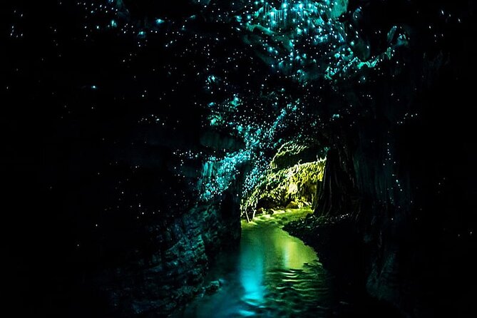 Private Day Trip To Waitomo Glow Warm Cave - Meeting and Pickup