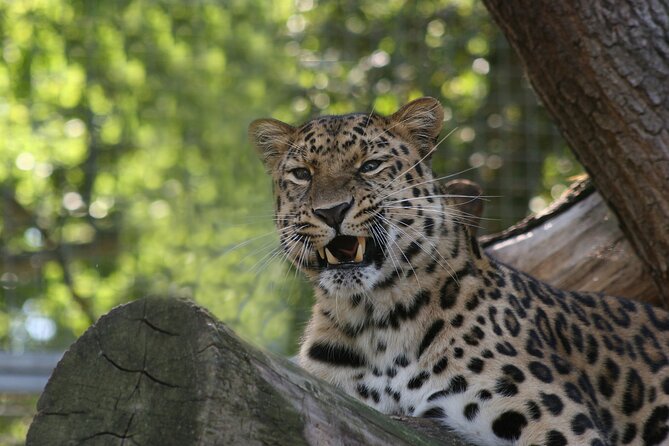 Private Day Trip to Yala National Park From Colombo - Inclusions