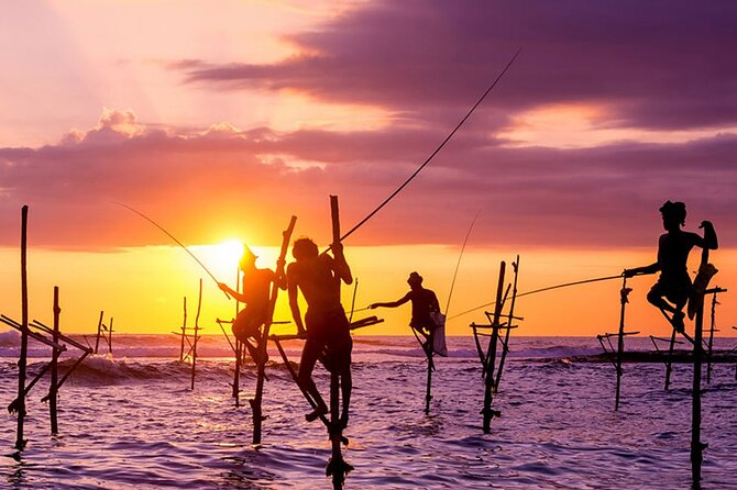Private Day Trip to Yala National Park From Colombo - Pricing and Reviews
