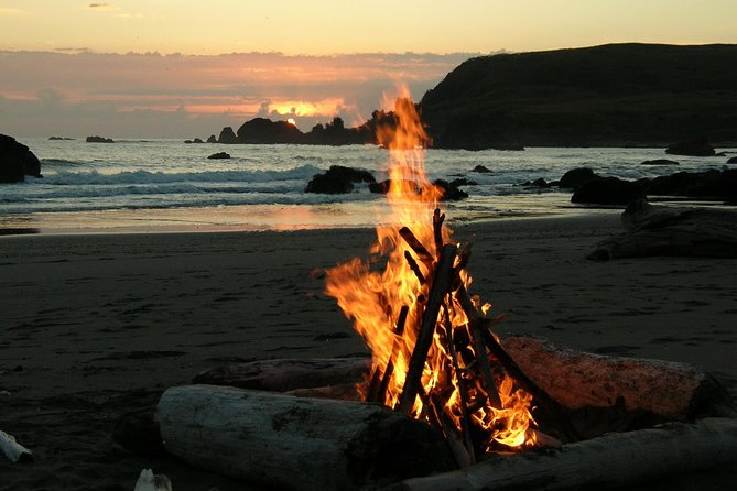 Private Day-Trip to Yala National Park Including BBQ Dinner on the Beach - Guided Game Drive in Safari Jeep