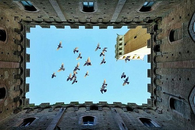 Private Day Trip Tuscany Landscape and Wine Tasting From Florence - Reviews and Customer Feedback