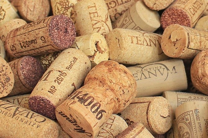 Private Day Trip: Wine Tasting Tour With Pinic Lunch From Nice - Cancellation and Reviews