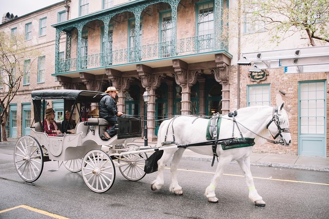 Private Daytime or Evening Horse-Drawn Carriage Tour of Historic Charleston - Description of the Carriage Ride