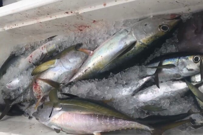Private Deep Sea Fishing Experience in Grand Cayman - Health and Safety Considerations