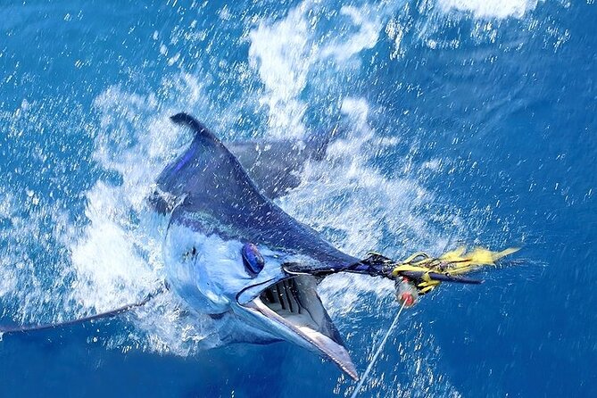 Private Deep Sea Fishing in Montego Bay - Overview of the Fishing Experience