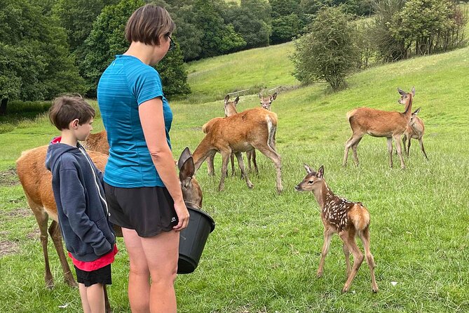 Private Deer Park Tour and Day Out in Leek - Highlights of the Tour