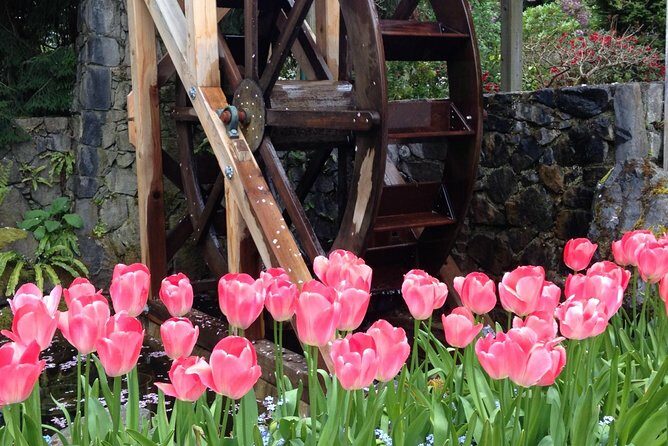 Private Deluxe Tour of Victoria & to Butchart Gardens (5 hrs) - What You Get: An Overview of the Tour