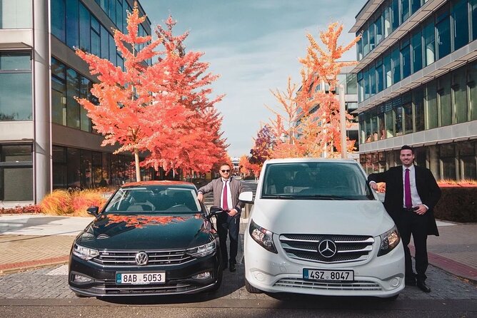 Private DEPARTURE Transfer by MINIVAN Mercedes Vito 8+1pax - Luggage and Safety