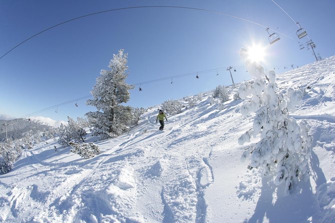 Private Departure Transfer From Bansko to Sofia Airport - Key Points
