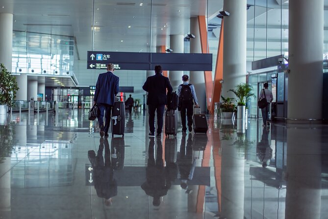 Private Departure Transfer: Hotel to Beijing Airport (PEK/PKX) - Vehicle Options