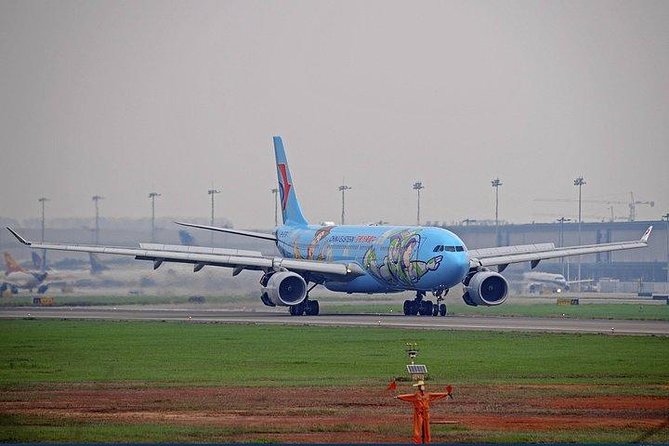 Private Departure Transfer in English-speaking: Hotel to Airport - Luggage and Accessibility