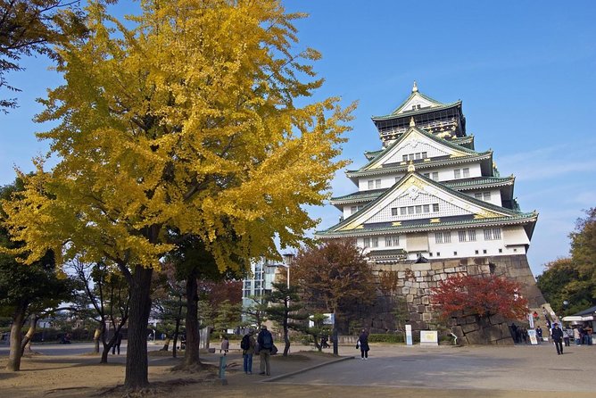 Private Departure Transfer: Osaka City to Osaka Itami Airport - Luggage and Accessibility Information