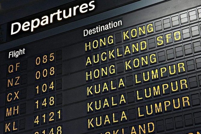 Private Departure Transfer to Pudong Airport From Shanghai City - Driver and Vehicle Information