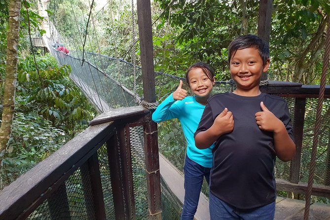 Private Desa Dairy Farm, Kinabalu National Park, Hot Spring & Canopy Walk Tour - Canopy Walk and Poring Hot Springs