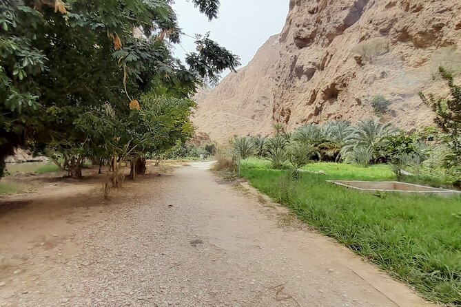 Private Desert Guided Overnight Camp Tour - Inclusions