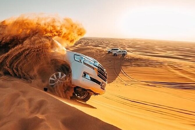 Private Desert Safari Tour in Dubai - Private Tour Highlights