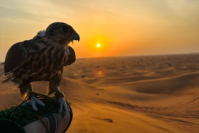 Private Desert Safari With ATV Quad Bike - Immersive Cultural Experiences