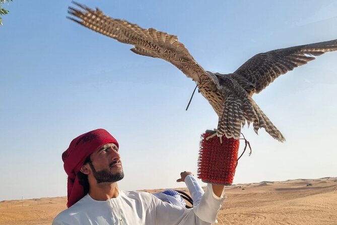 Private Desert Safari With Camel Ride and BBQ Dinner in Bedouin Camp - Highlights of the Safari