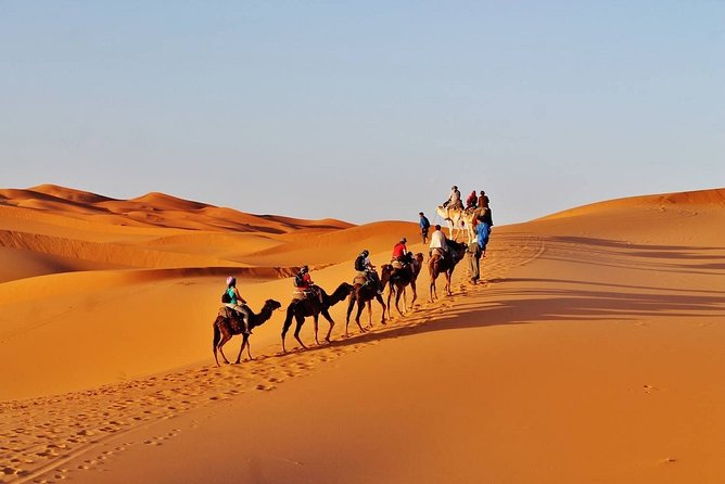 Private Desert Tour From Marrakech To Fes Via Desert Sahara - Additional Notes