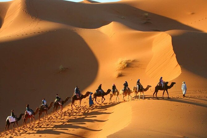 Private Desert Tour From Marrakech To Fes Via Desert Sahara - Pricing