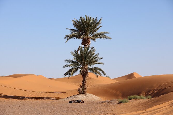 Private Desert Tour To Draa Valley And Zagora From Marrakech - Preparing for the Desert Adventure
