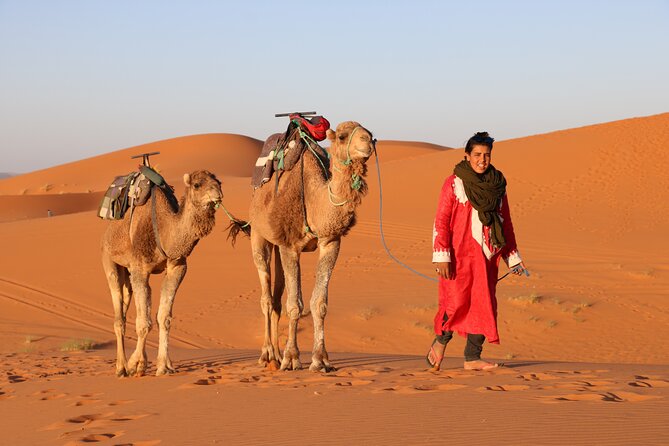 Private Desert Tour To Draa Valley And Zagora From Marrakech - Safety and Considerations