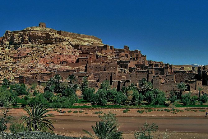 Private Desert Tour to Ouarzazate and Fint Oasis - Dietary and Accessibility Considerations