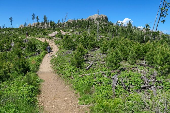 Private - Devils Tower - Deadwood - Spearfish Canyon + Picnic - Exploring Devils Tower