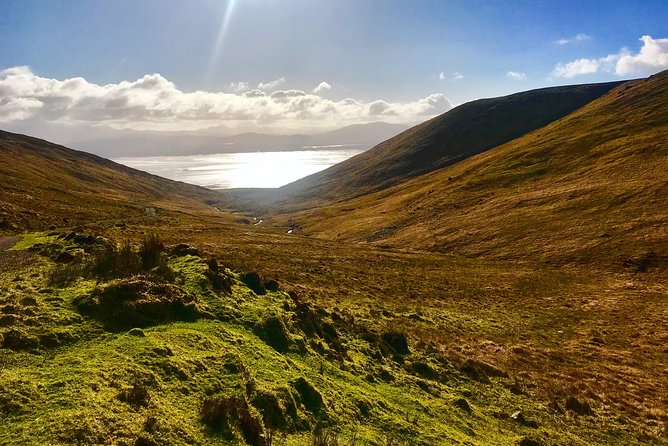 Private Dingle and Slea Head - Tour Overview