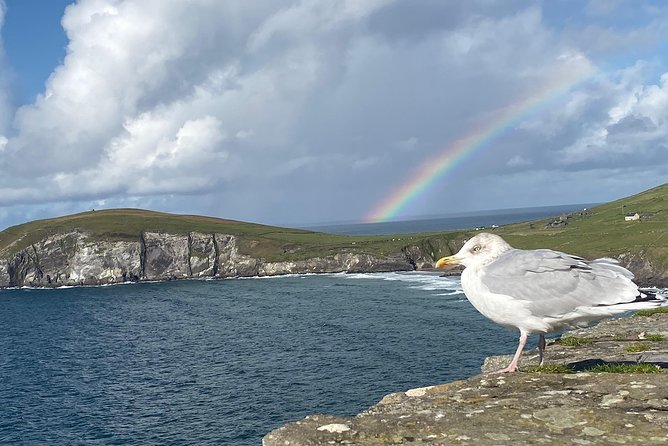 Private Dingle and Slea Head - Discover Slea Head