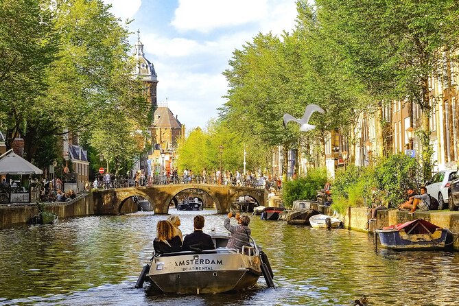 Private Direct Transfer From Hannover to Amsterdam - Vehicle and Driver Details