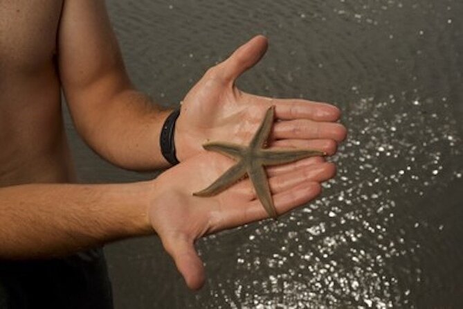 Private Disappearing Island Dolphin Tour - Frequently Asked Questions