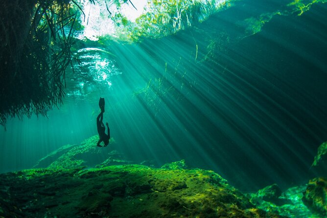Private Discover Freediving in a Cenote in Tulum Mexico - Pricing and Group Size Options
