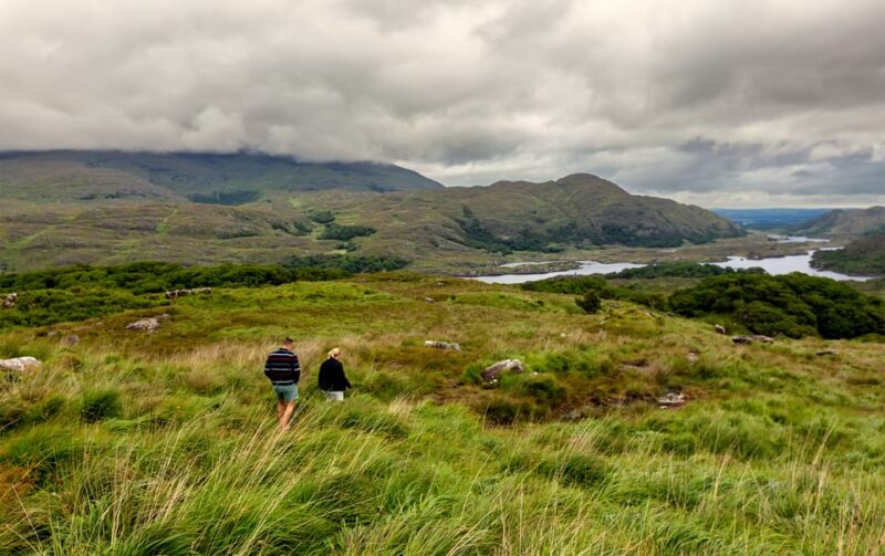 Private Discover Ring of Beara Tour From Killarney - Customer Reviews