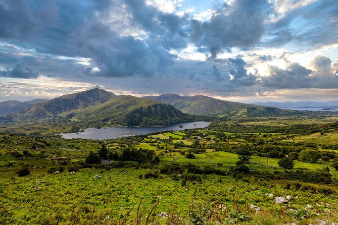 Private Discover Ring of Beara Tour in a Limousine From Killarney - Customer Feedback and Ratings