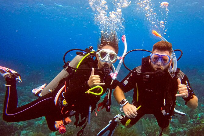 Private Discover Scuba Dive Experience in Curaçao - Customer Reviews and Feedback