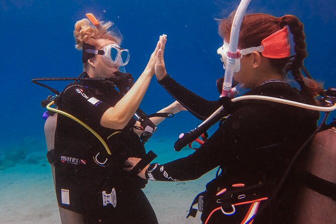Private Discover Scuba Dive Experience in Curaçao - Dive Locations and Conditions