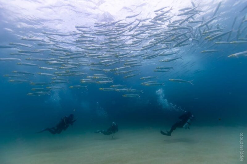 Private Discover Scuba Diving Class 1 - 2 People - Key Points