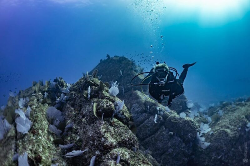 Private Discover Scuba Diving Class 1 - 2 People - Itinerary and Location